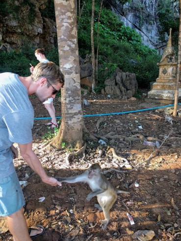 Playing with monkeys around Thailand